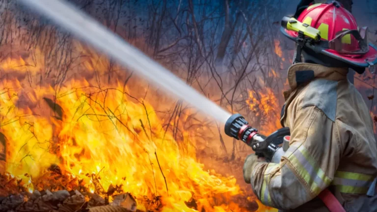 Desde cascos a linternas: entregan equipamiento a Bomberos de la región