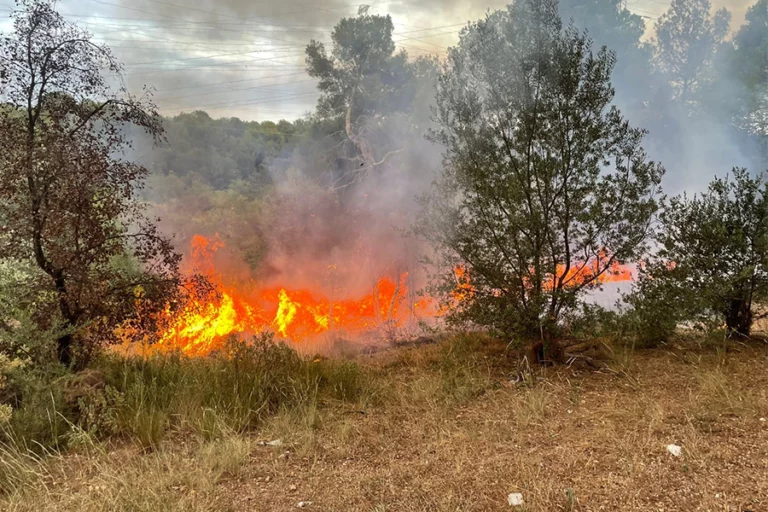 Prisión preventiva para imputado por incendios en Linares