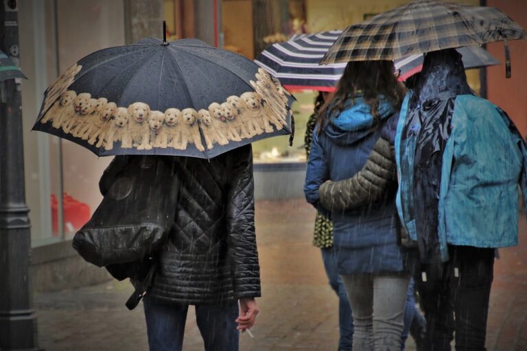 Del sur a la RM: Chile se prepara para intensas lluvias por fenómeno climático