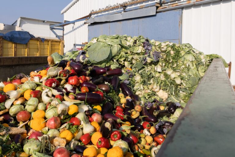 Desde Curicó: Chile avanza para frenar el desperdicio de alimentos