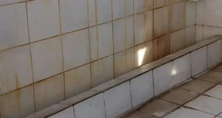 Denuncian baños insalubres en colegio de La Serena: jóvenes no usan baños en mal estado y presentan infecciones urinarias