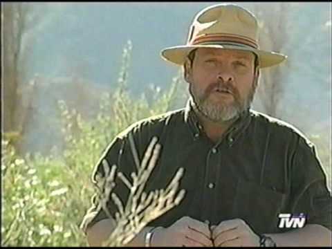 Luto en la televisión: fallece Paul Landon, histórico conductor del programa “Tierra Adentro”