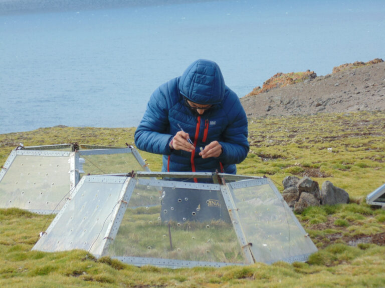 Investigación chilena busca proteger la biodiversidad antártica de especies invasoras