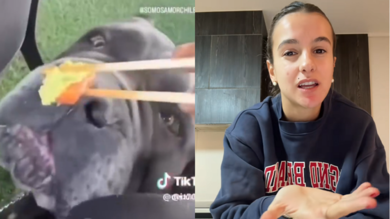 “Que se suici…”: Josefa Sáez revela mensajes de odio y amenazas de muerte tras polémica por dar wasabi a su perro