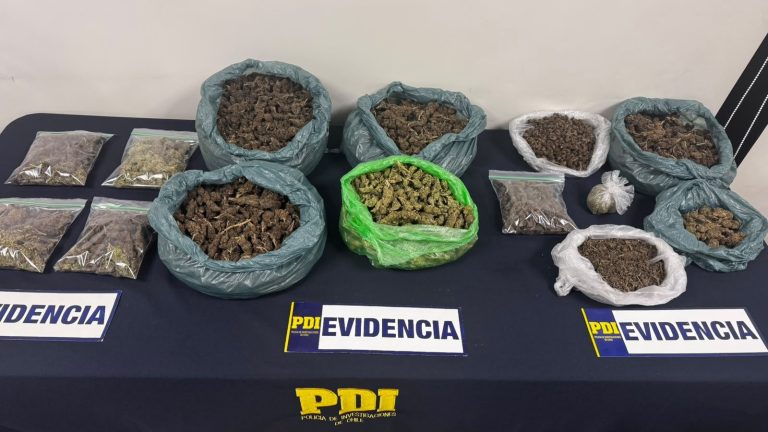Operativos antidrogas dejan dos detenidos en la provincia de Linares: incautaron más de 5 kilos de marihuana